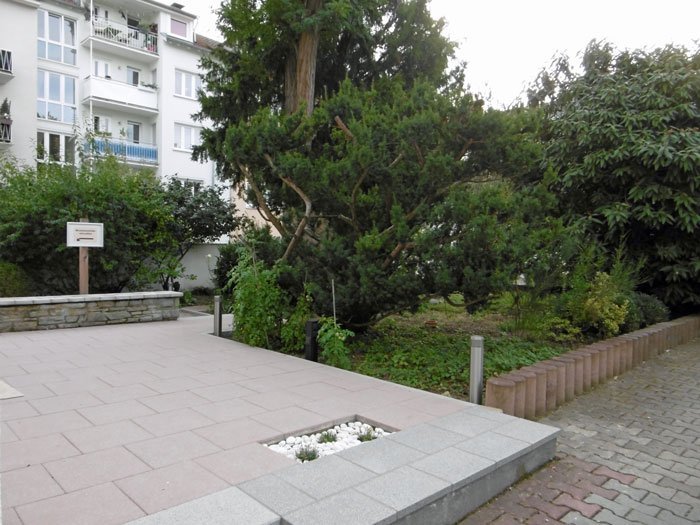 °°° ERSTBEZUG NACH SANIERUNG °°° Büro-/Praxis mit 5-6 Zi., TERRASSE, Küche im Westend