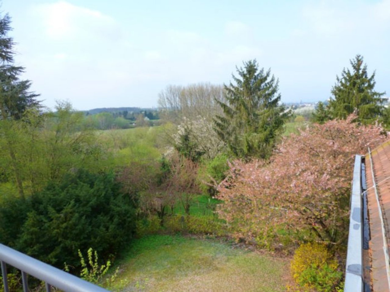 Ausblick