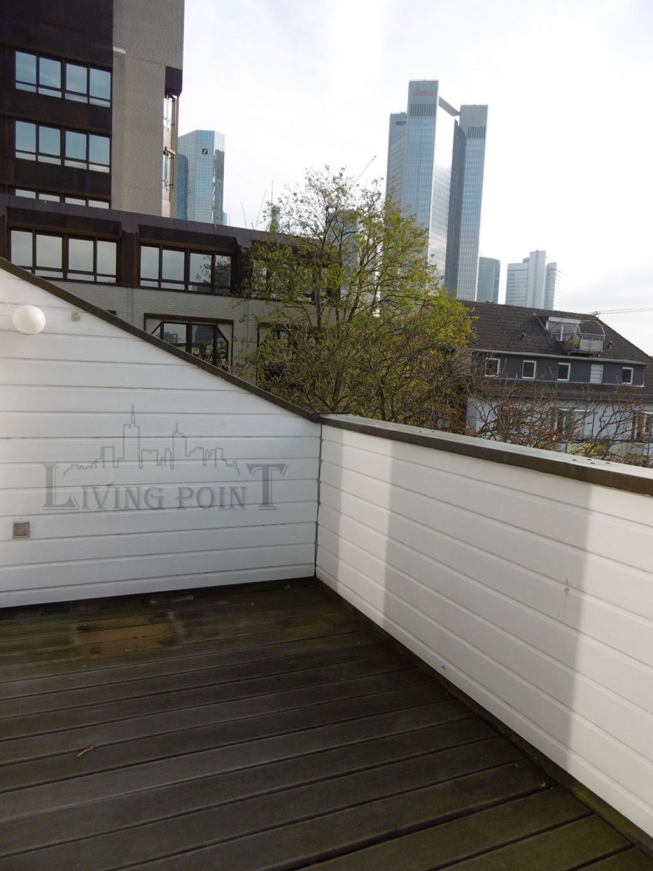 Dachloggia Dachloggia